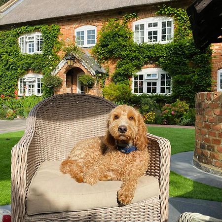 Little Woodside A Beautiful New Forest Self Contained Private Luxury Annexe 뉴밀튼 외부 사진