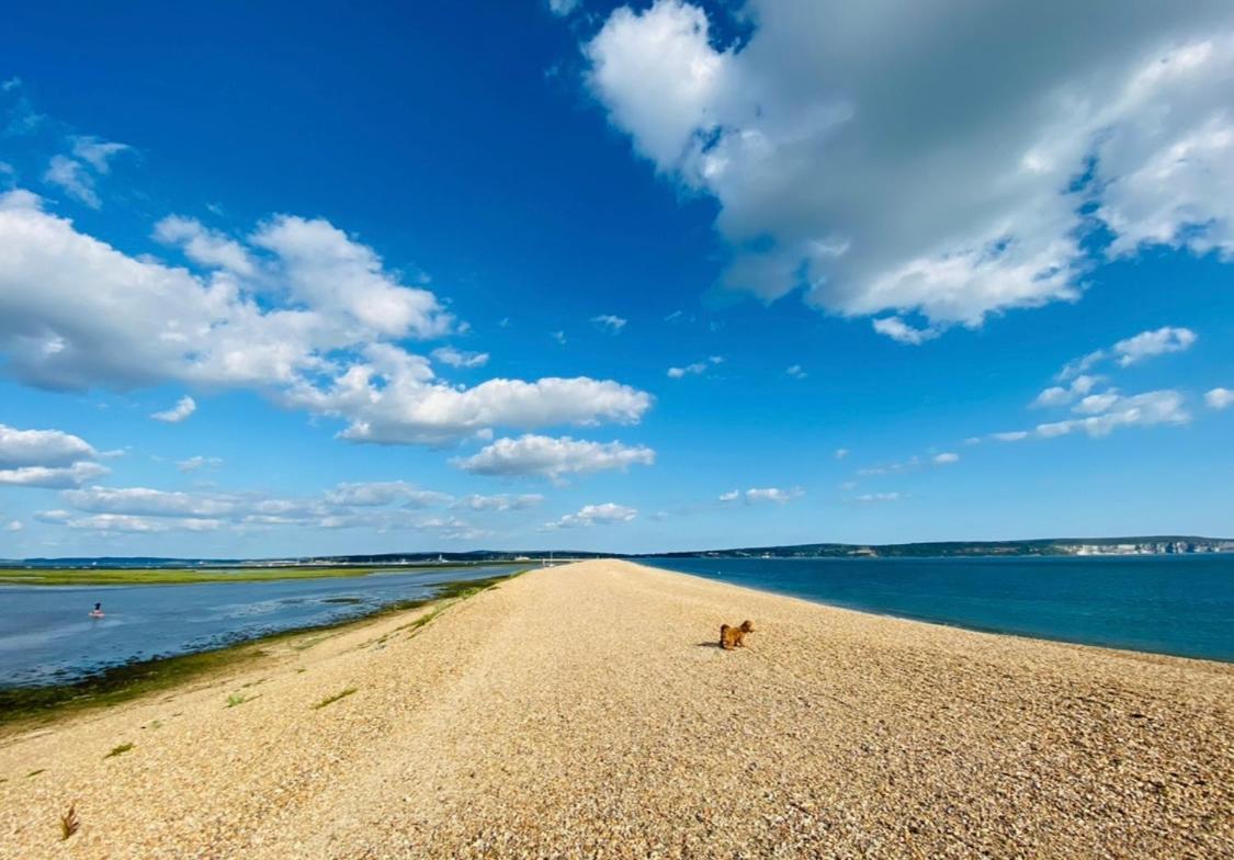 Little Woodside A Beautiful New Forest Self Contained Private Luxury Annexe 뉴밀튼 외부 사진
