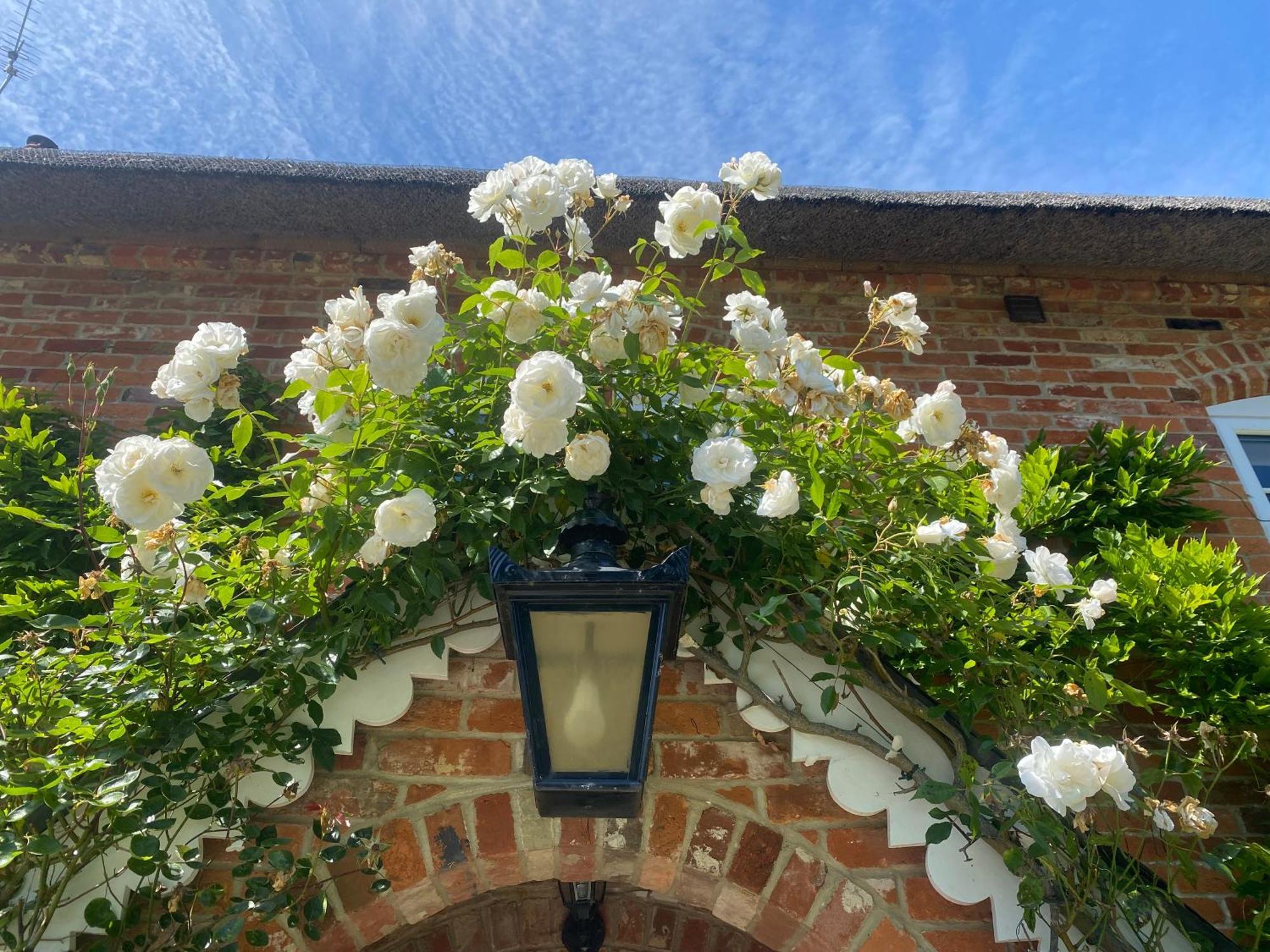Little Woodside A Beautiful New Forest Self Contained Private Luxury Annexe 뉴밀튼 외부 사진