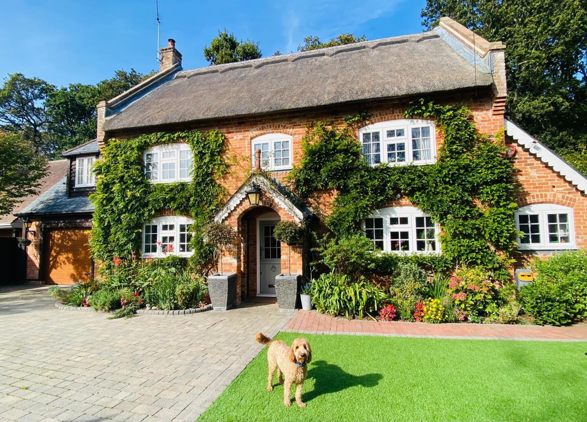Little Woodside A Beautiful New Forest Self Contained Private Luxury Annexe 뉴밀튼 외부 사진