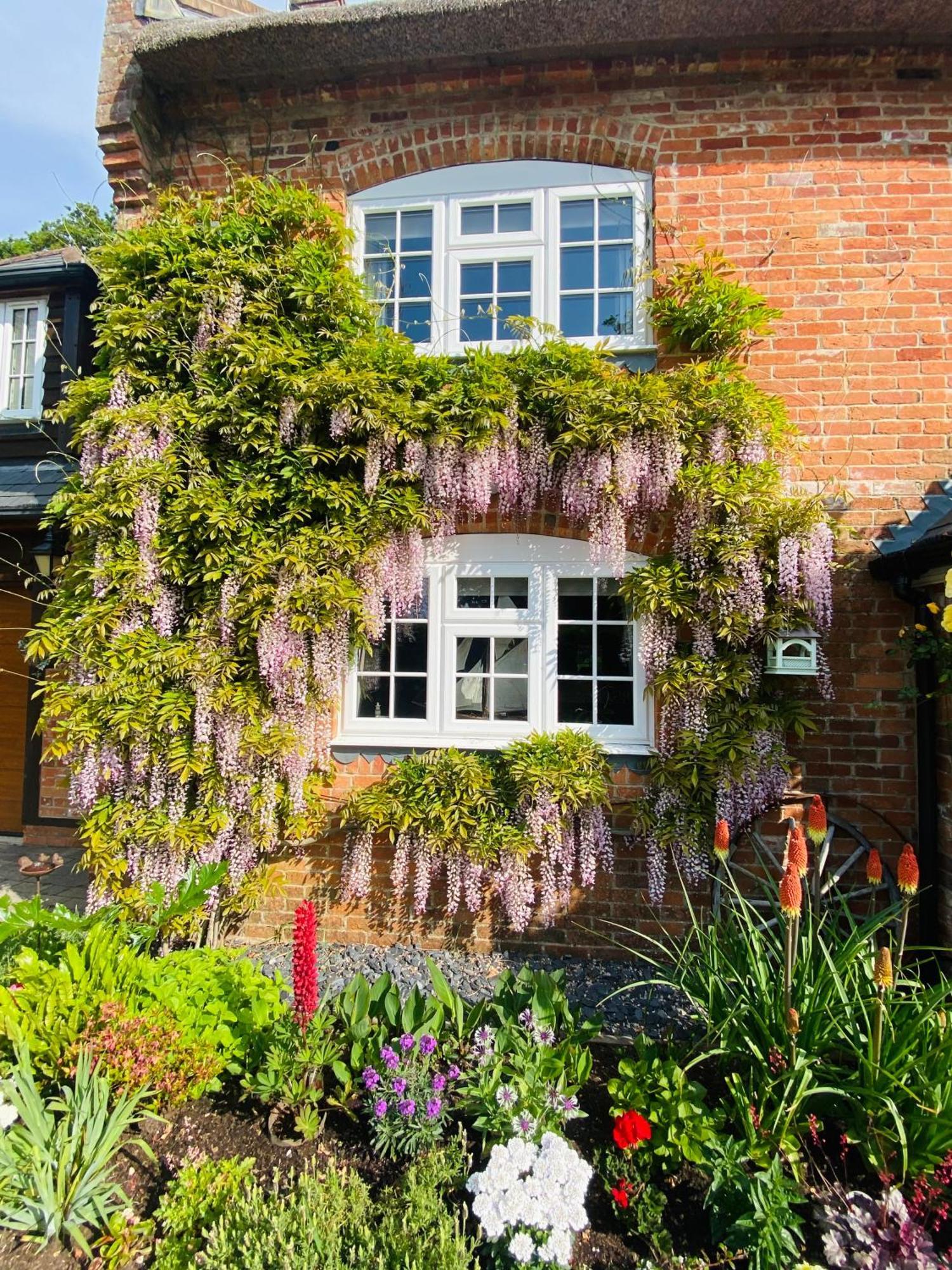 Little Woodside A Beautiful New Forest Self Contained Private Luxury Annexe 뉴밀튼 외부 사진
