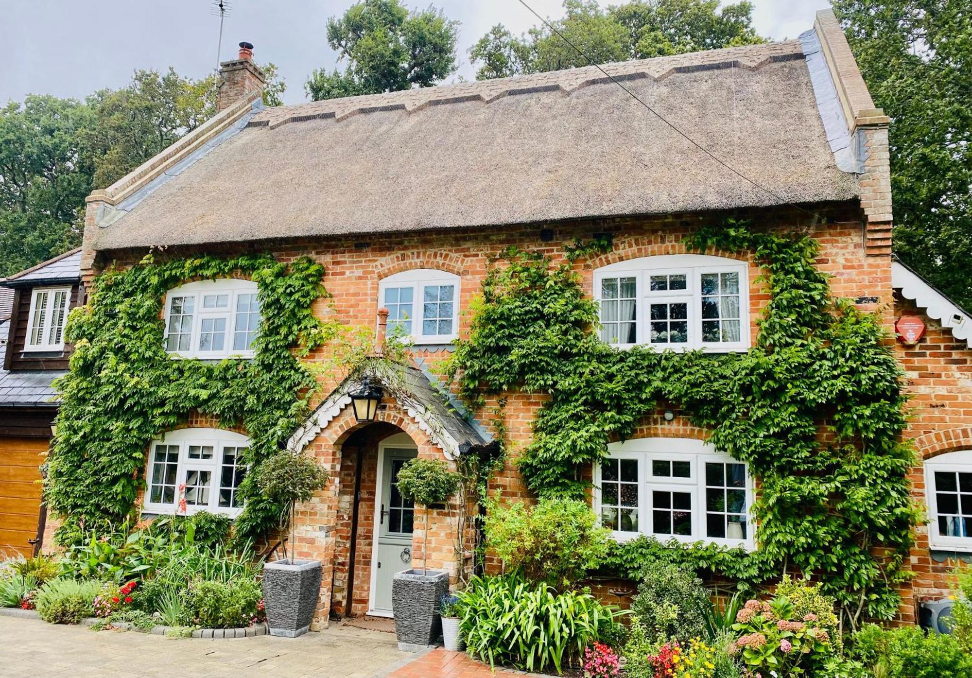 Little Woodside A Beautiful New Forest Self Contained Private Luxury Annexe 뉴밀튼 외부 사진