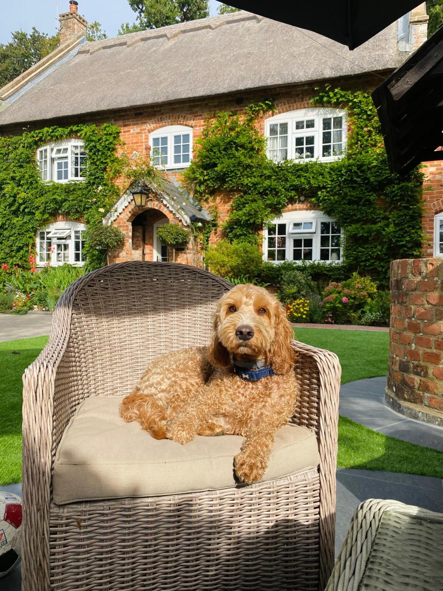 Little Woodside A Beautiful New Forest Self Contained Private Luxury Annexe 뉴밀튼 외부 사진