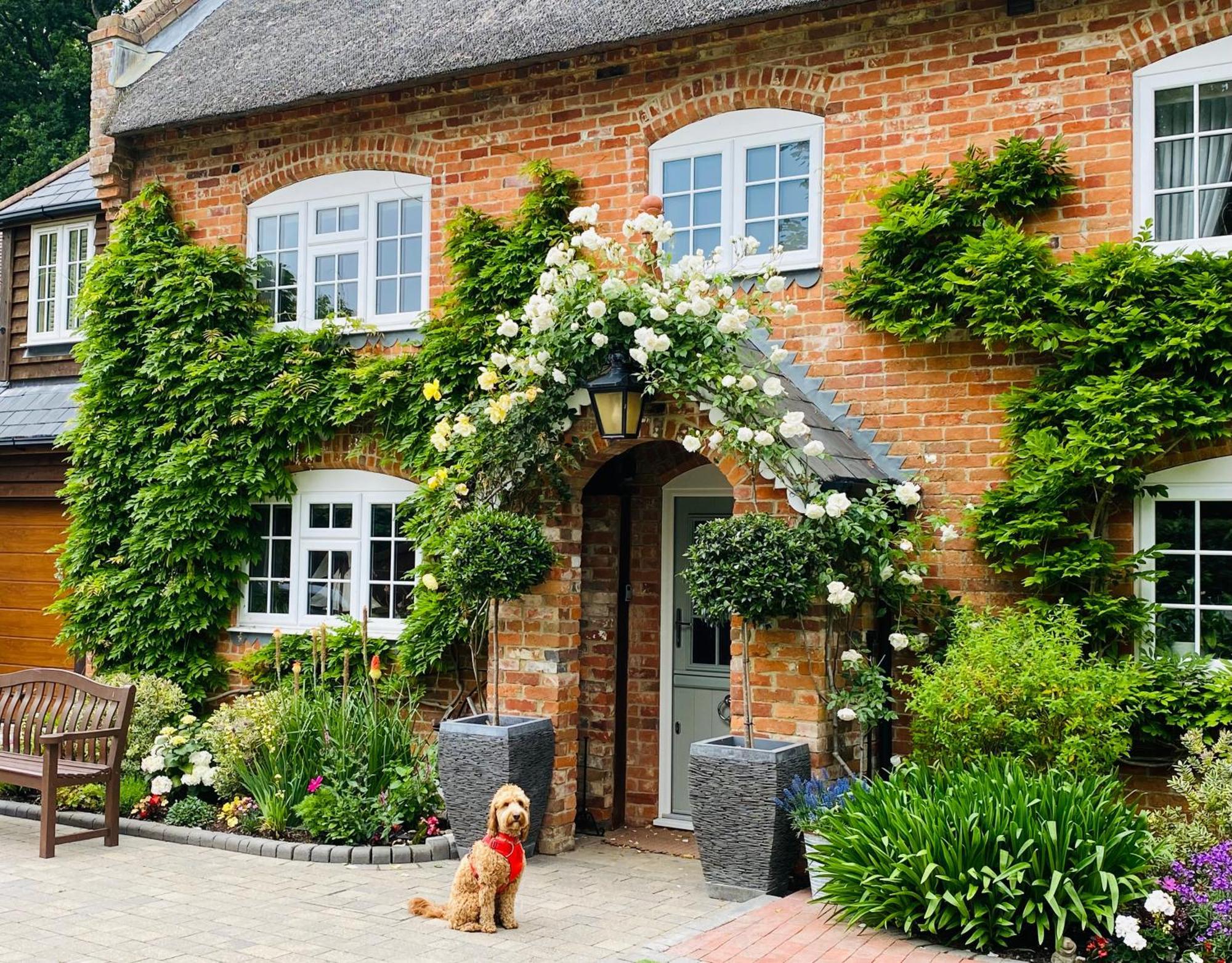 Little Woodside A Beautiful New Forest Self Contained Private Luxury Annexe 뉴밀튼 외부 사진