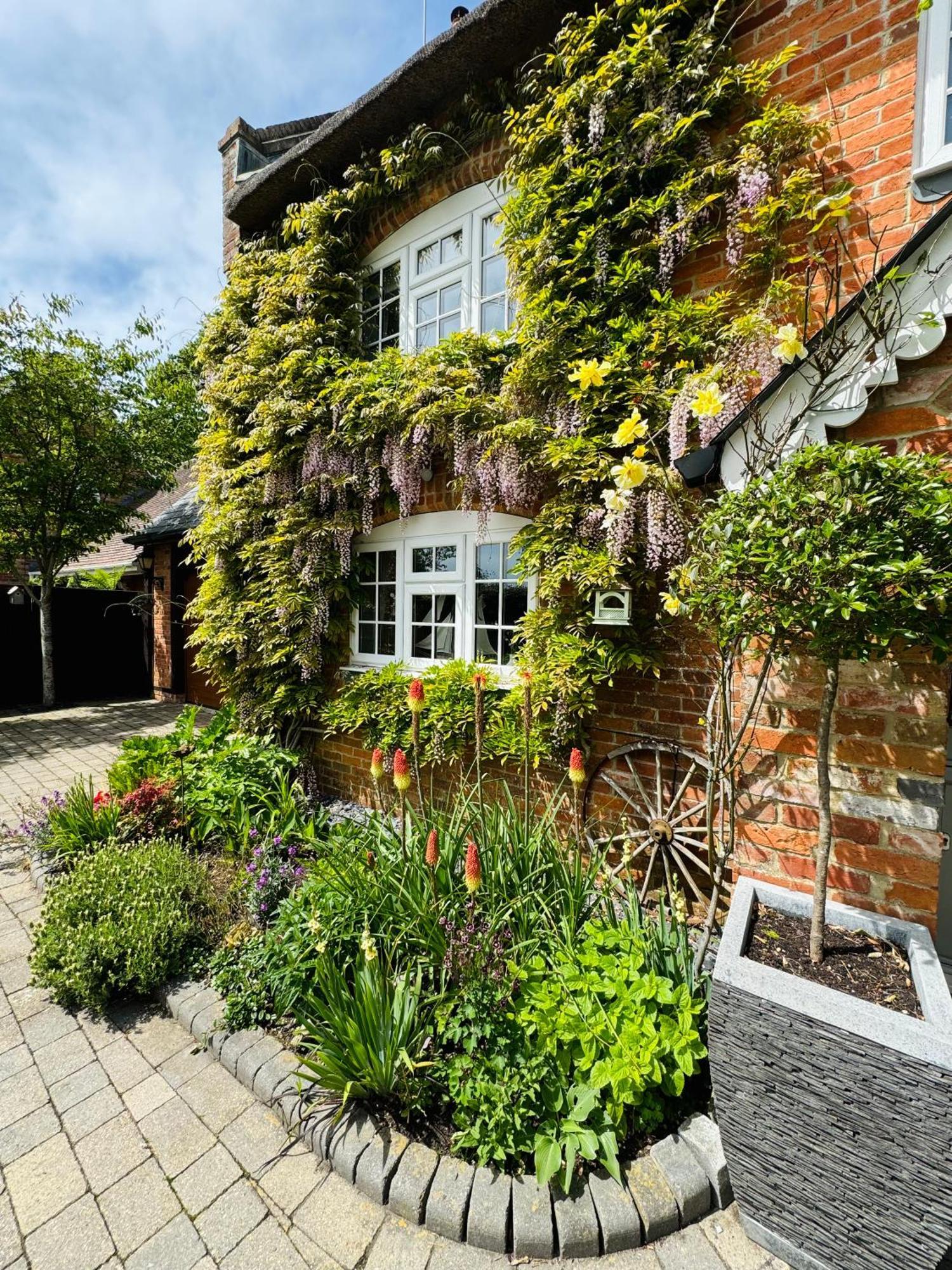 Little Woodside A Beautiful New Forest Self Contained Private Luxury Annexe 뉴밀튼 외부 사진