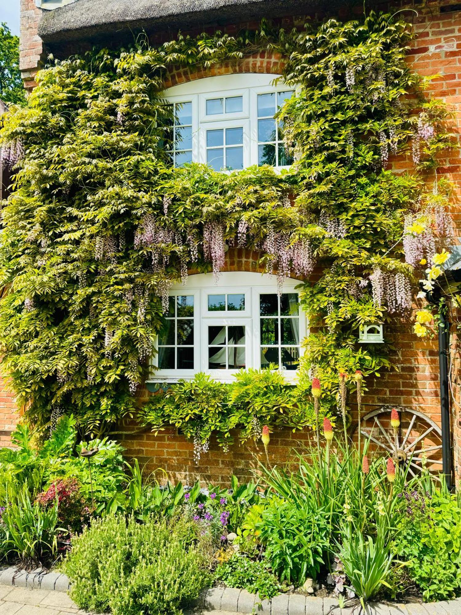 Little Woodside A Beautiful New Forest Self Contained Private Luxury Annexe 뉴밀튼 외부 사진