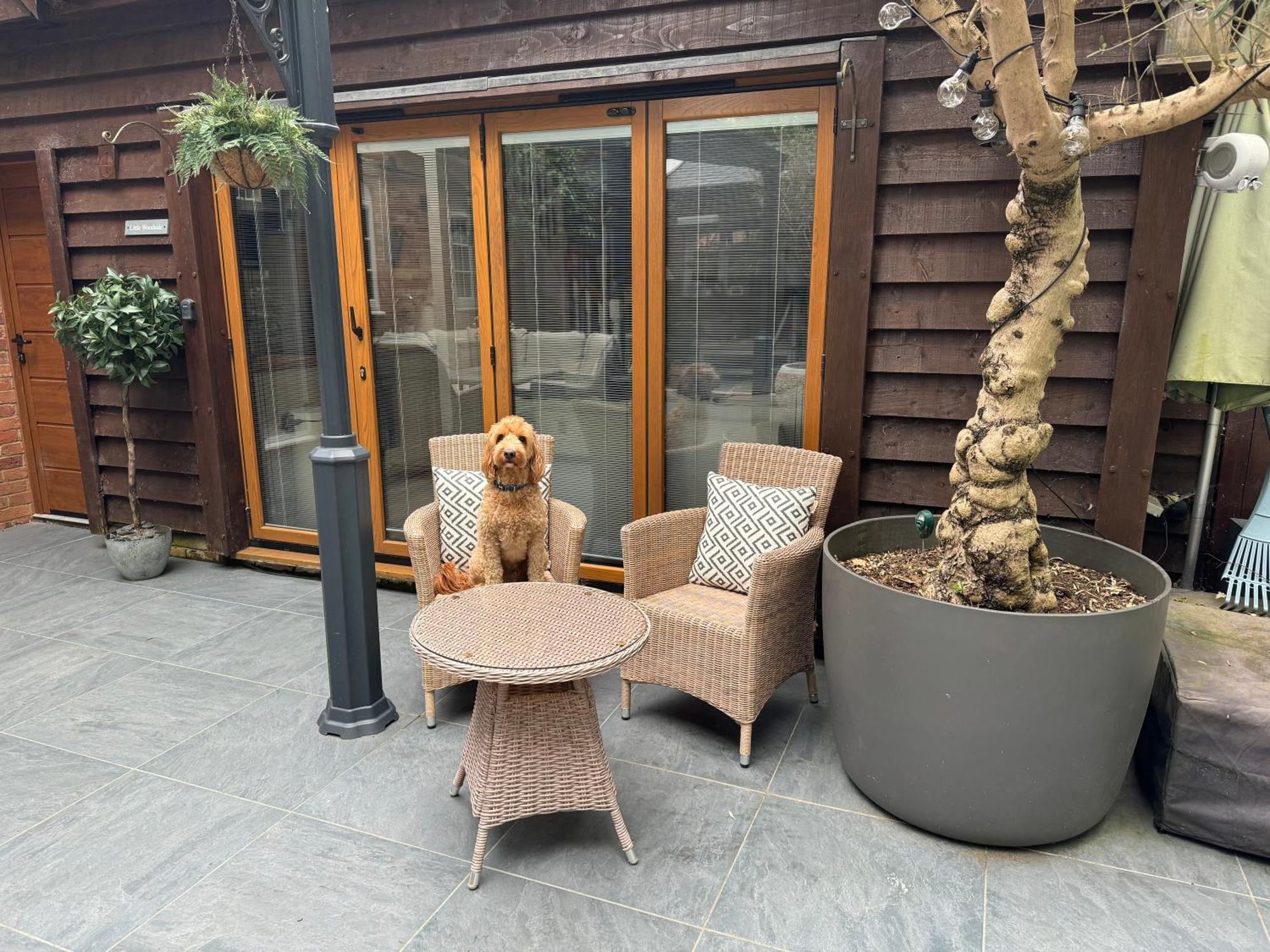 Little Woodside A Beautiful New Forest Self Contained Private Luxury Annexe 뉴밀튼 외부 사진